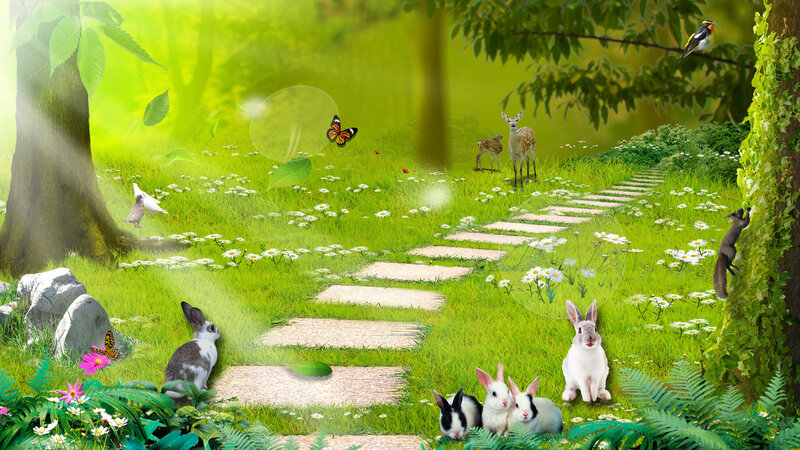 Rabbits in a Forest