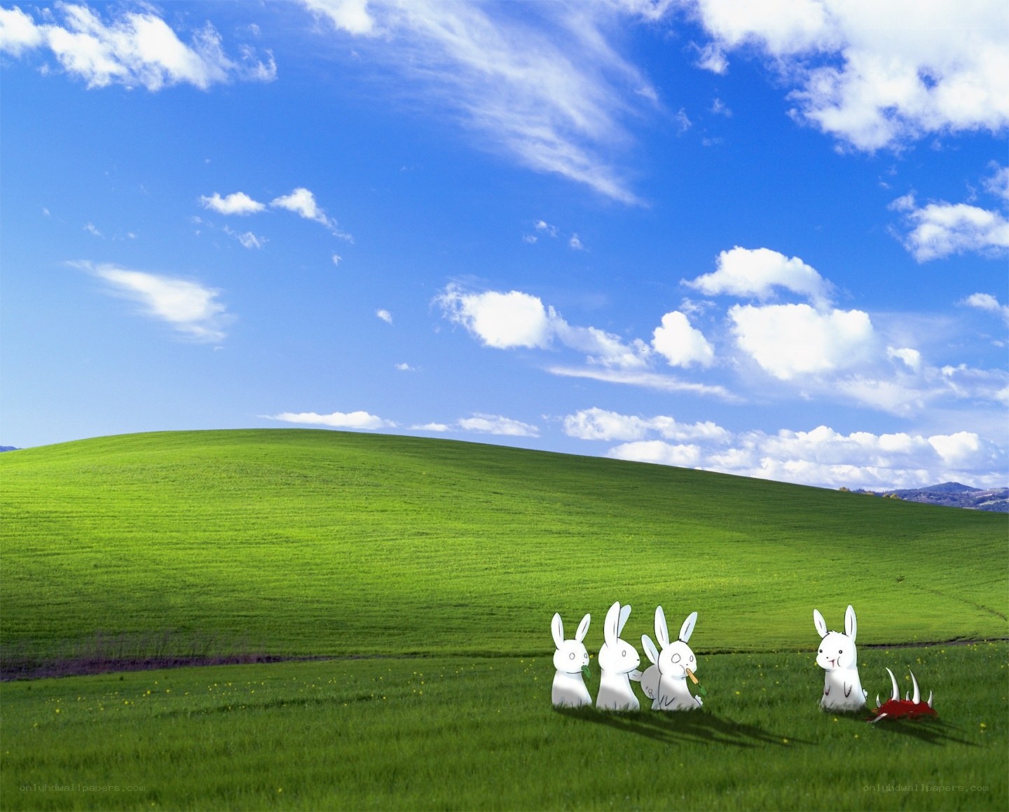 Rabbits in a green field