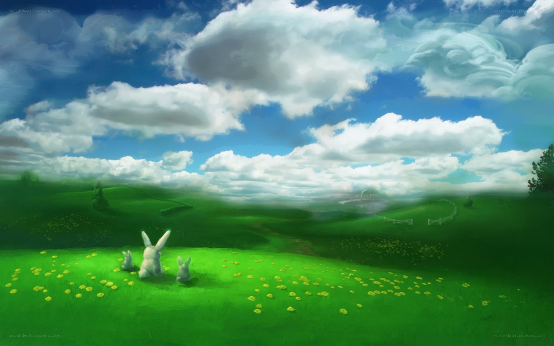 Rabbits in a green field