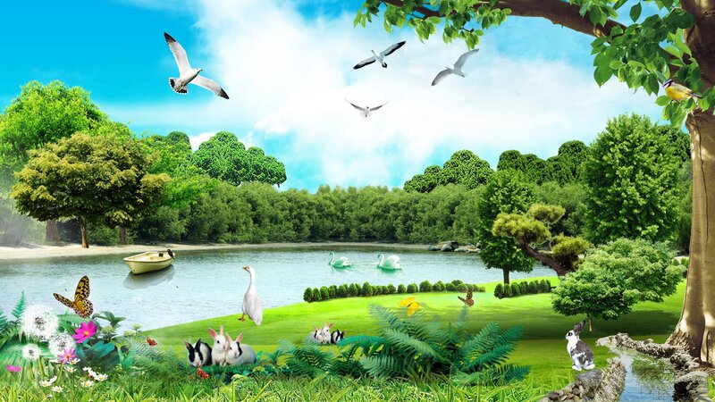 Rabbits in a Park