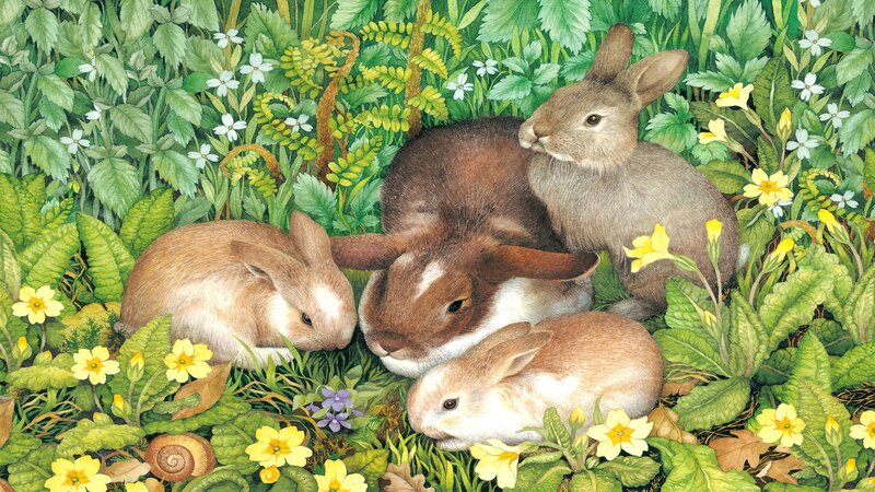 Rabbits in Foliage