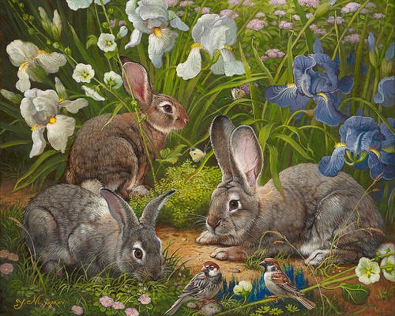Rabbits in Garden — Green