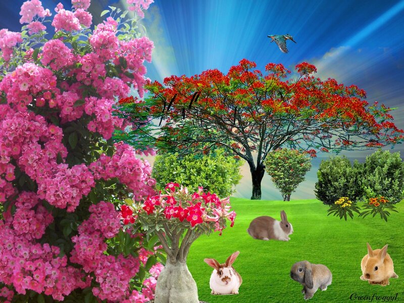 Rabbits in Garden — Pink