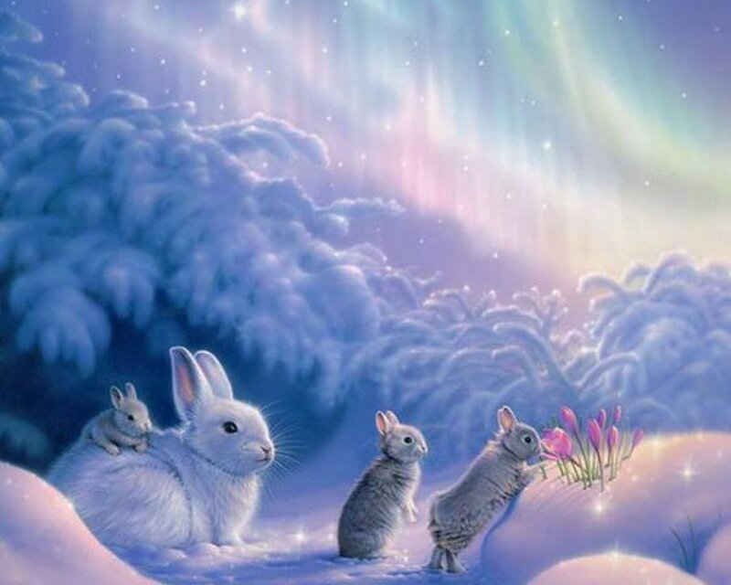 Rabbits in Snow