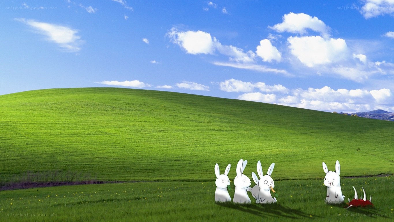 Rabbits on a green hill