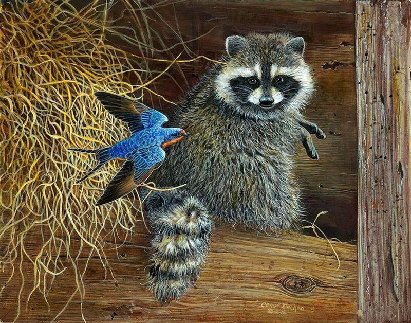 Raccoon and Bird
