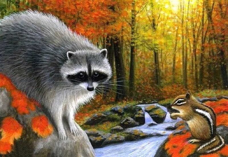 Raccoon and Chipmunk — Orange