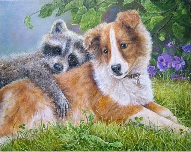Raccoon and Dog Together