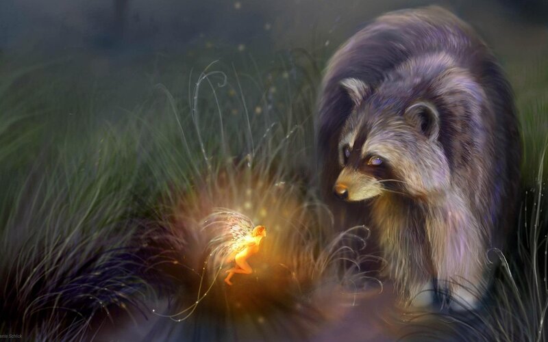 Raccoon and Fairy in Grass