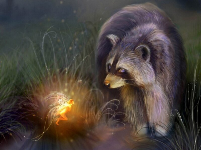 Raccoon and Fairy — Purple