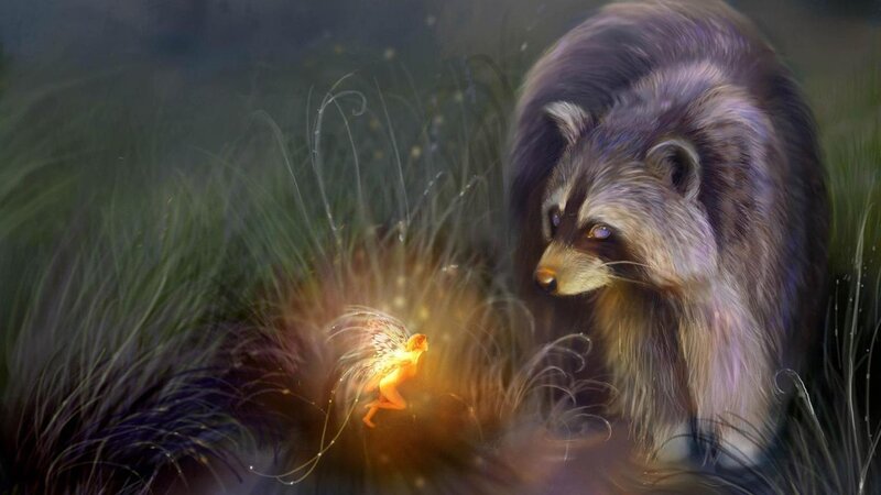 Raccoon and Fairy