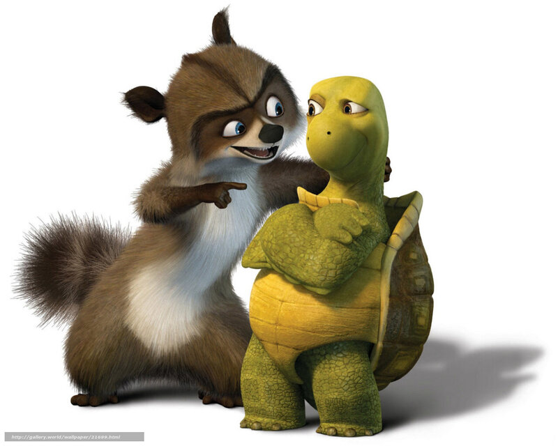 Raccoon and Turtle — Brown