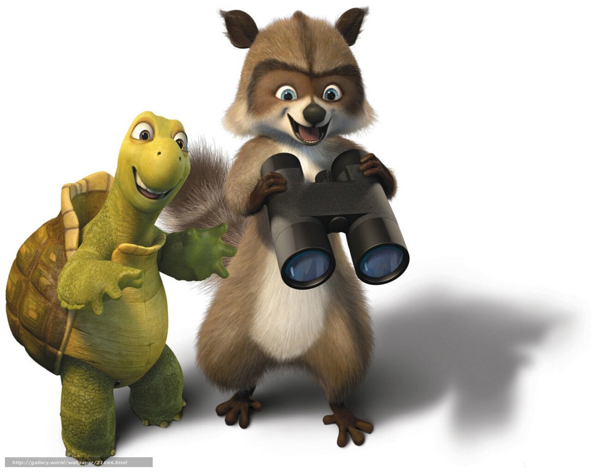 Raccoon and turtle friends