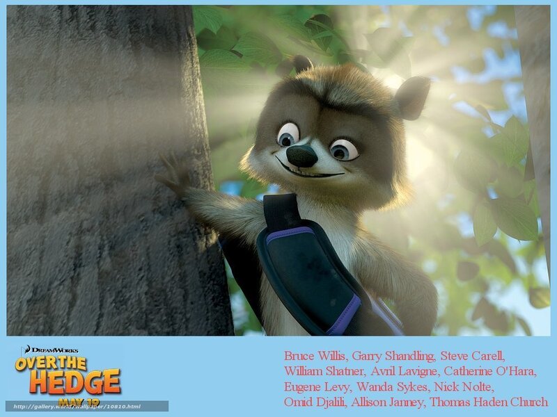 Raccoon character from Over the Hedge