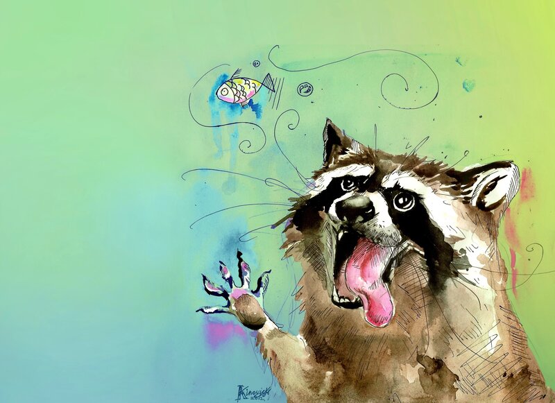 raccoon chasing a fish