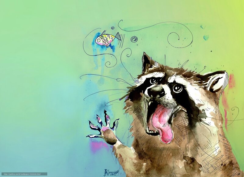raccoon chasing fish