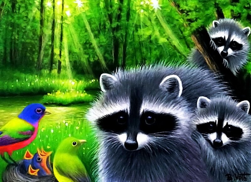 Raccoon Family in Forest