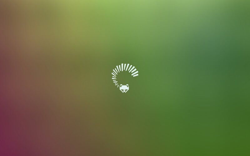 Raccoon Head Logo — Green