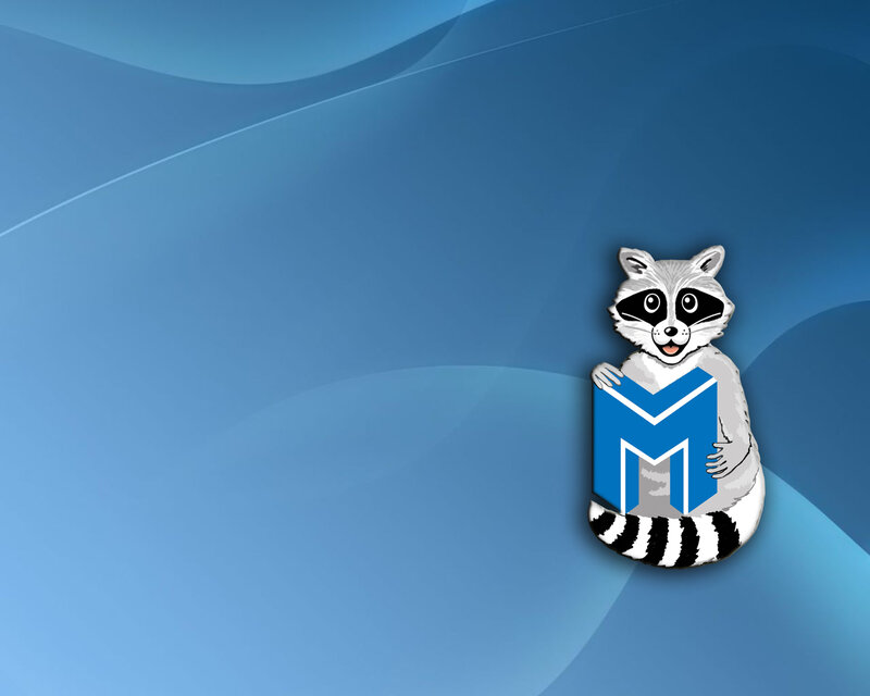raccoon holding a letter m