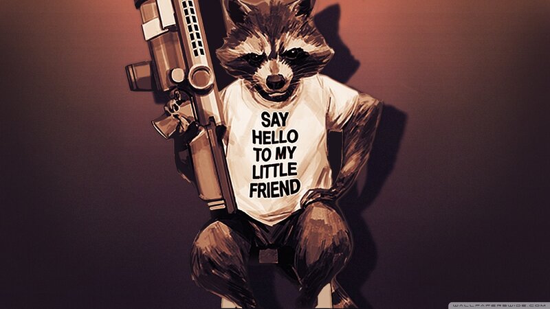 Raccoon Holding Gun