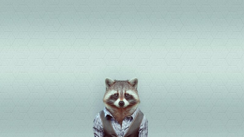 raccoon in a vest