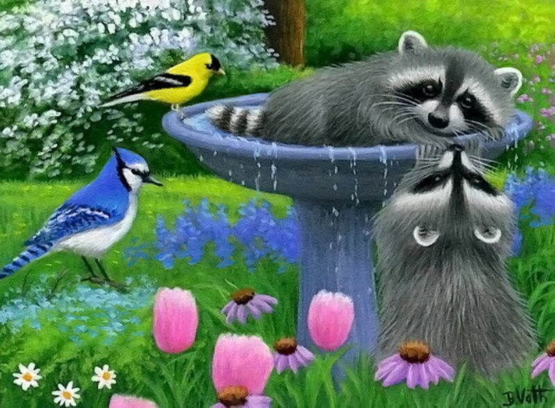Raccoon in Birdbath