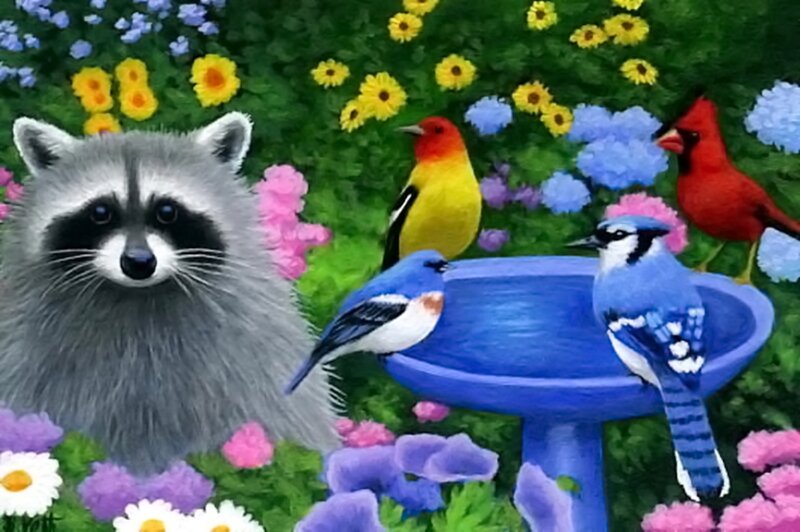 Raccoon in Garden — Green, Serene