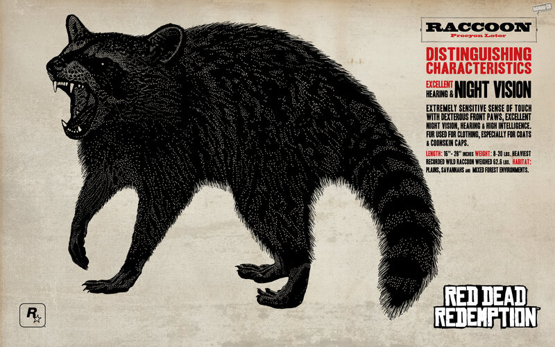 Raccoon in Red Dead Redemption