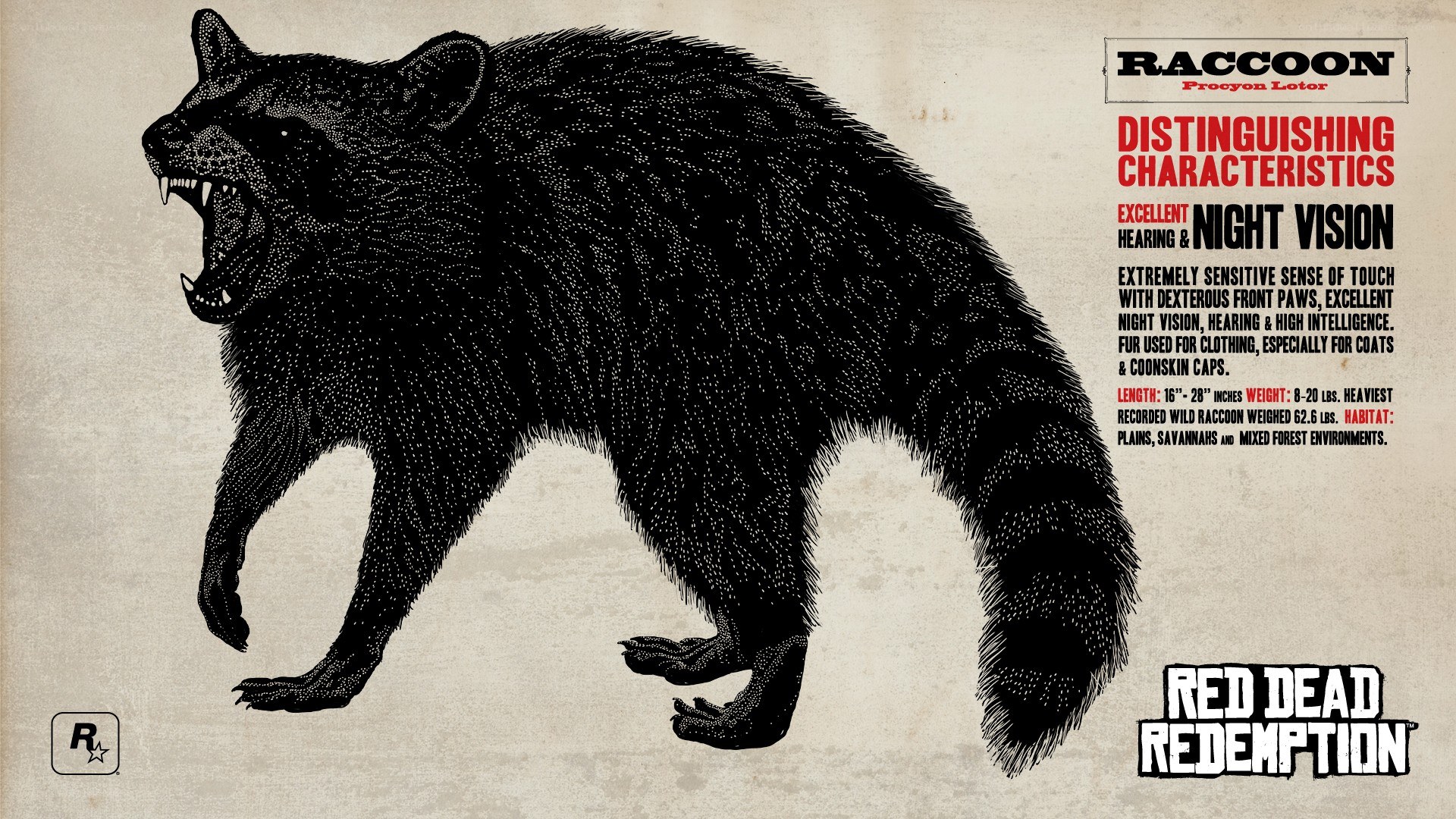 Raccoon in Red Dead Redemption