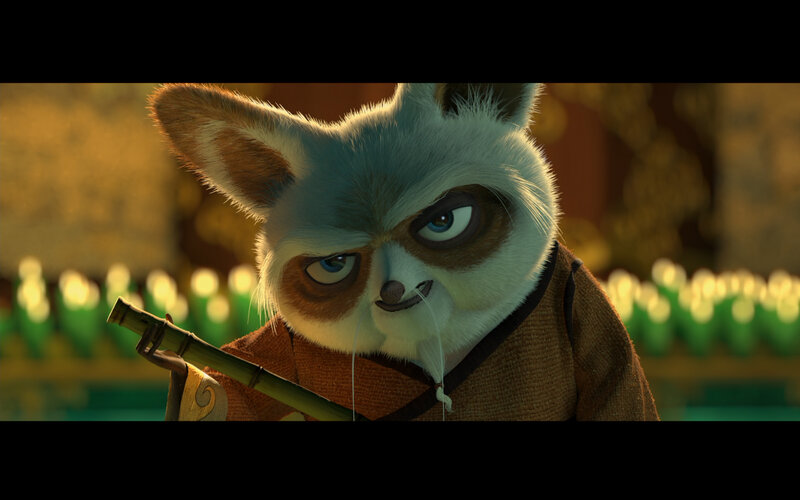 raccoon martial artist character