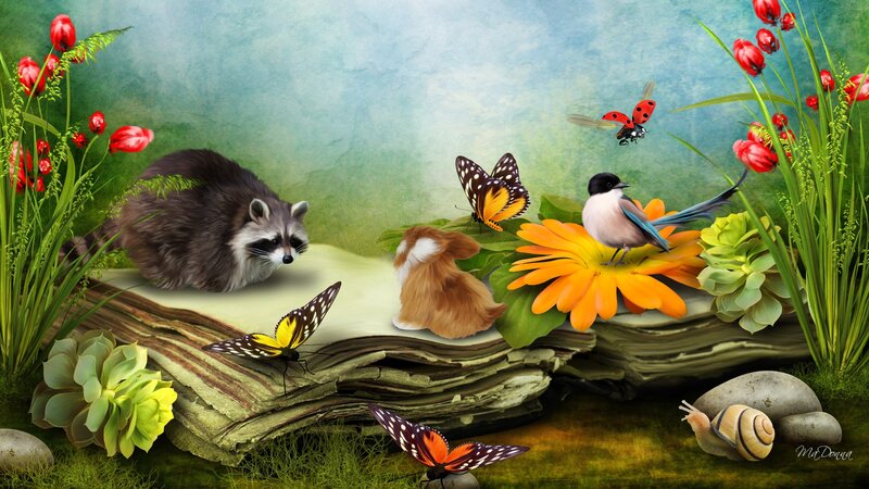 Raccoon on Open Book