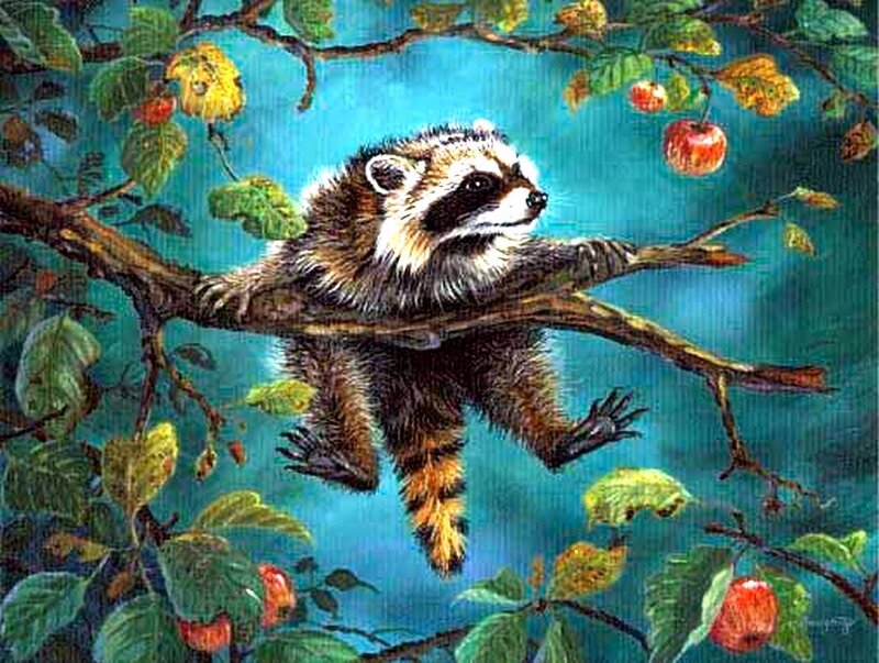 Raccoon on Tree Branch — Blue