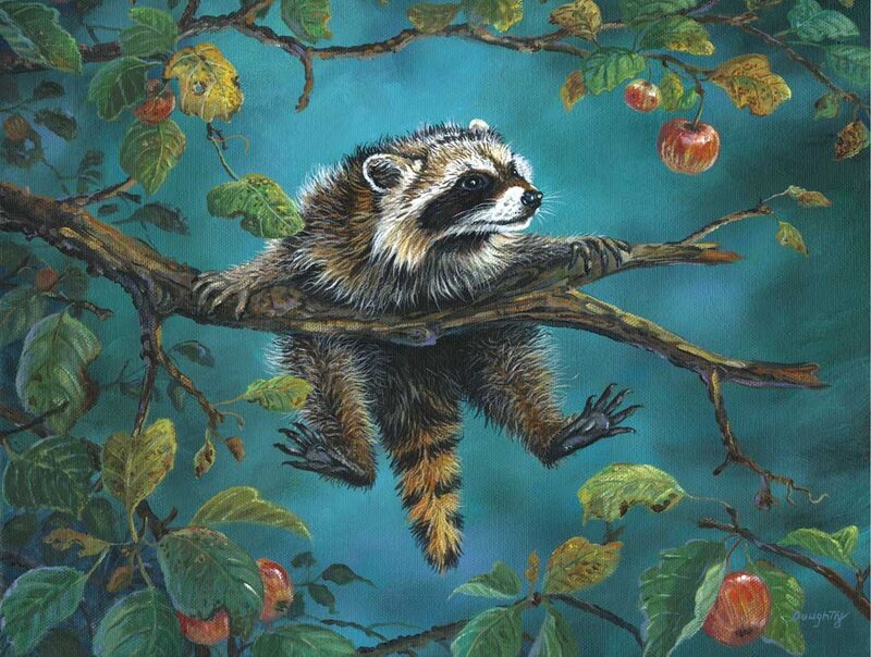 Raccoon on Tree Branch — Teal