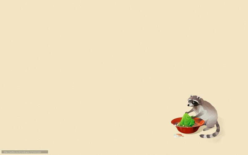 Raccoon Washing Clothes — Beige