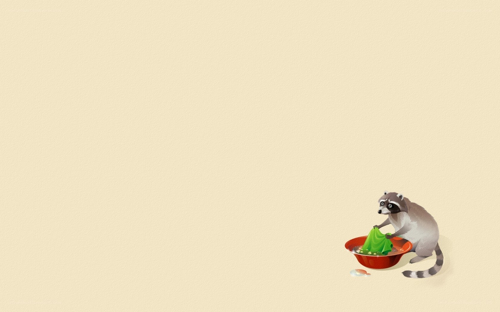 raccoon washing clothes