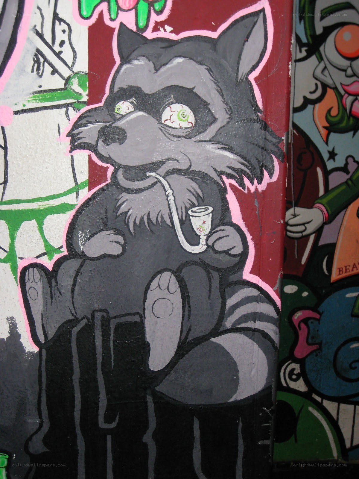 Raccoon with a pipe graffiti