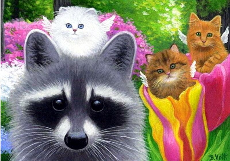 Raccoon with Kittens — Gray
