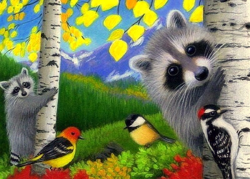 Raccoons and Birds in Forest