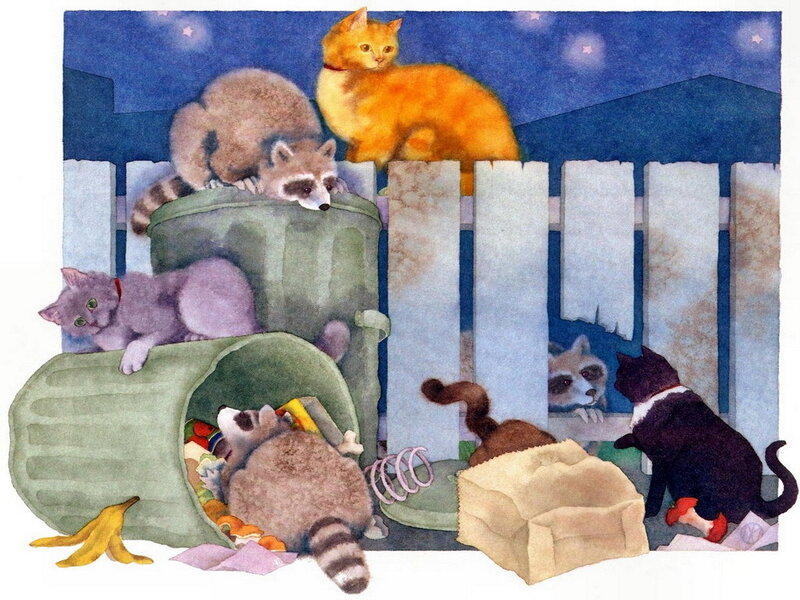 Raccoons and Cats at Night