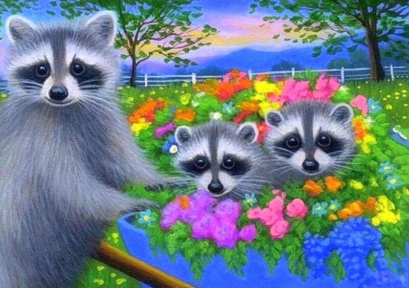 Raccoons in Flowers