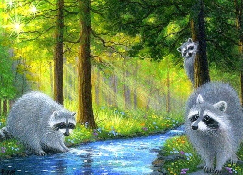 Raccoons in Forest