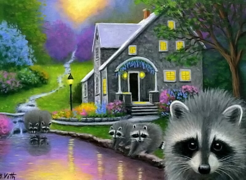 Raccoons Near a House
