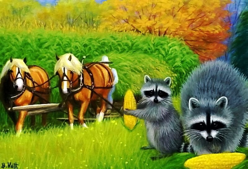 Raccoons with Corn