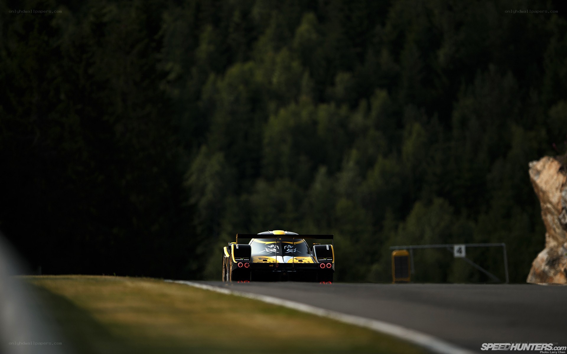 Race car on a forested track