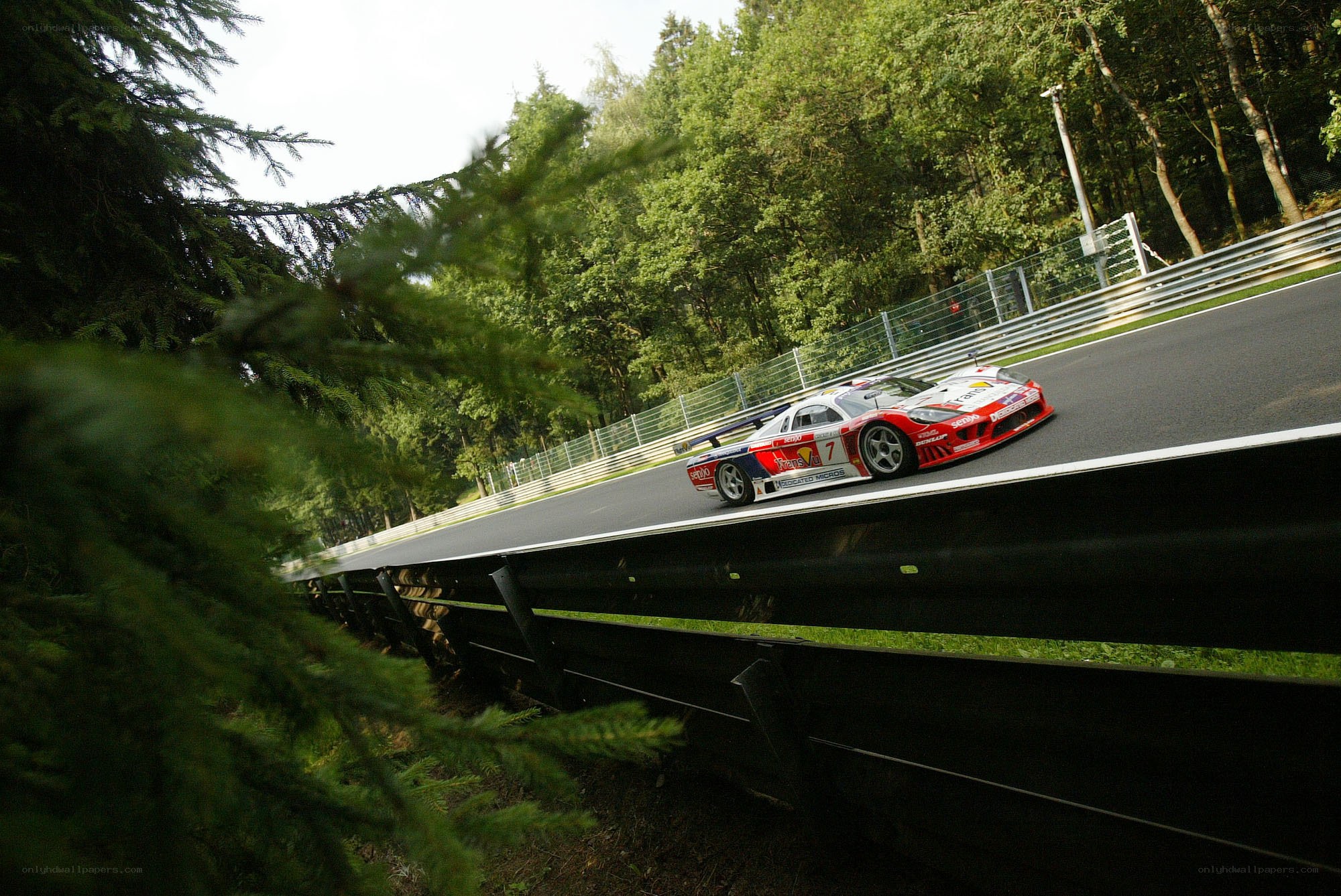 race car on forest track