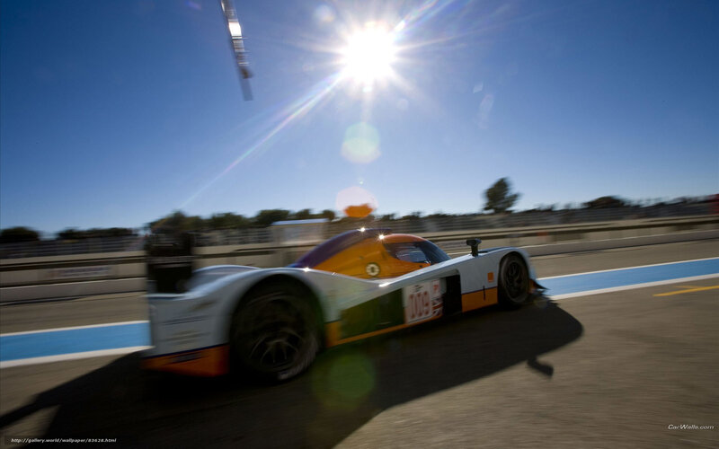 Race Car on Track — Blue, Dynamic, Afternoon