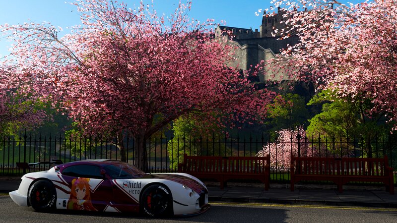 Race Car under Cherry Blossoms