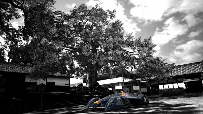 Race Car under Tree