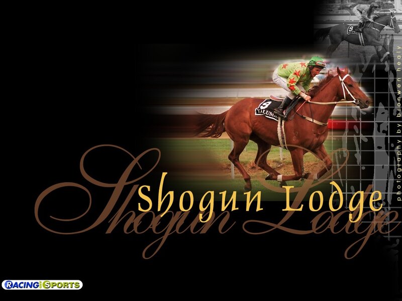 Racehorse and Jockey — Brown