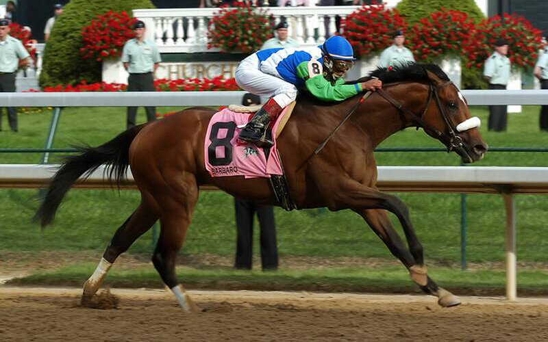 Racehorse and Jockey